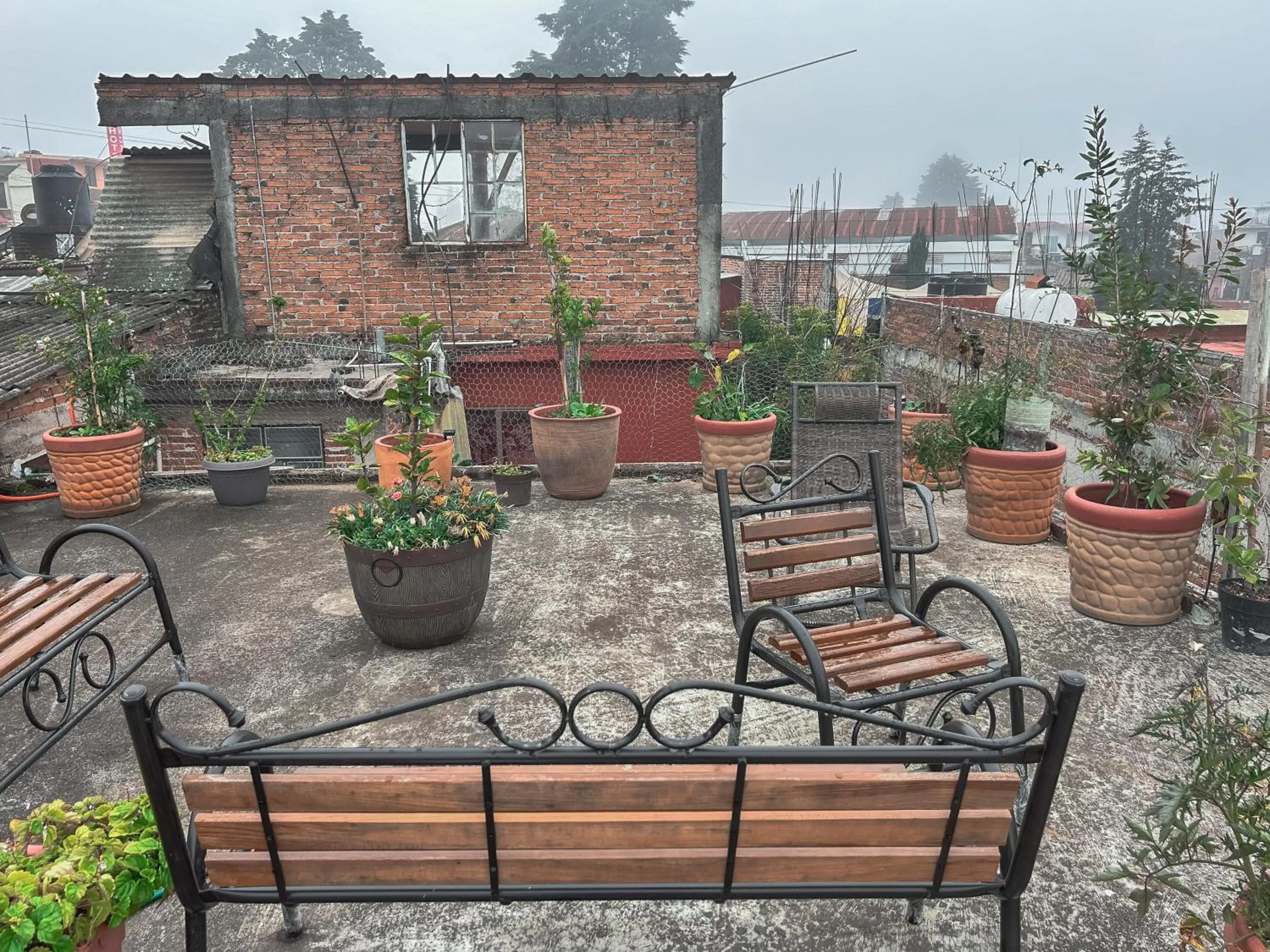 Patio in SiempreViva Hospedaje By GEstores