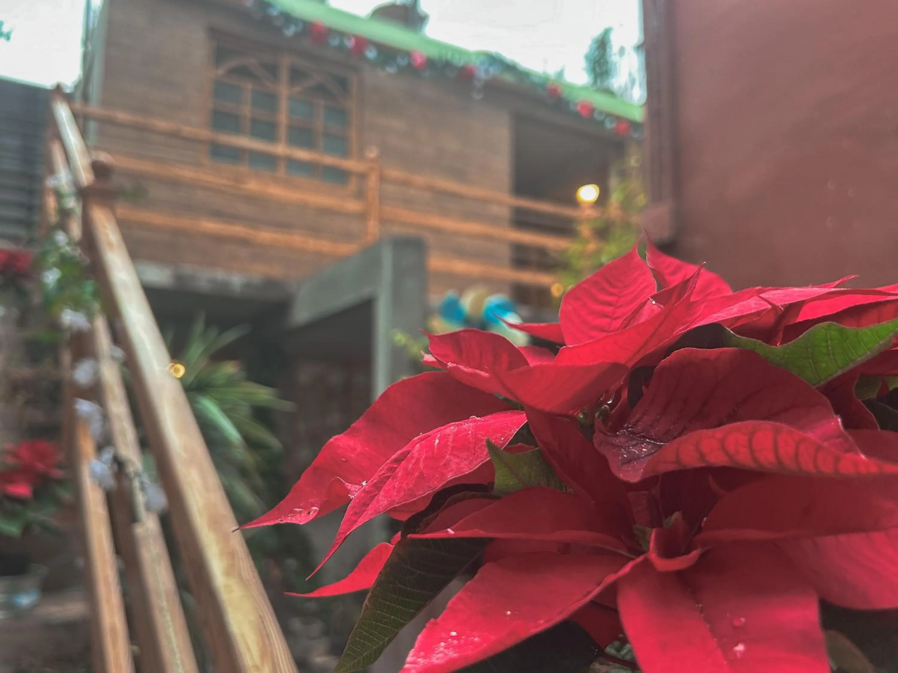 Patio in SiempreViva Hospedaje By GEstores