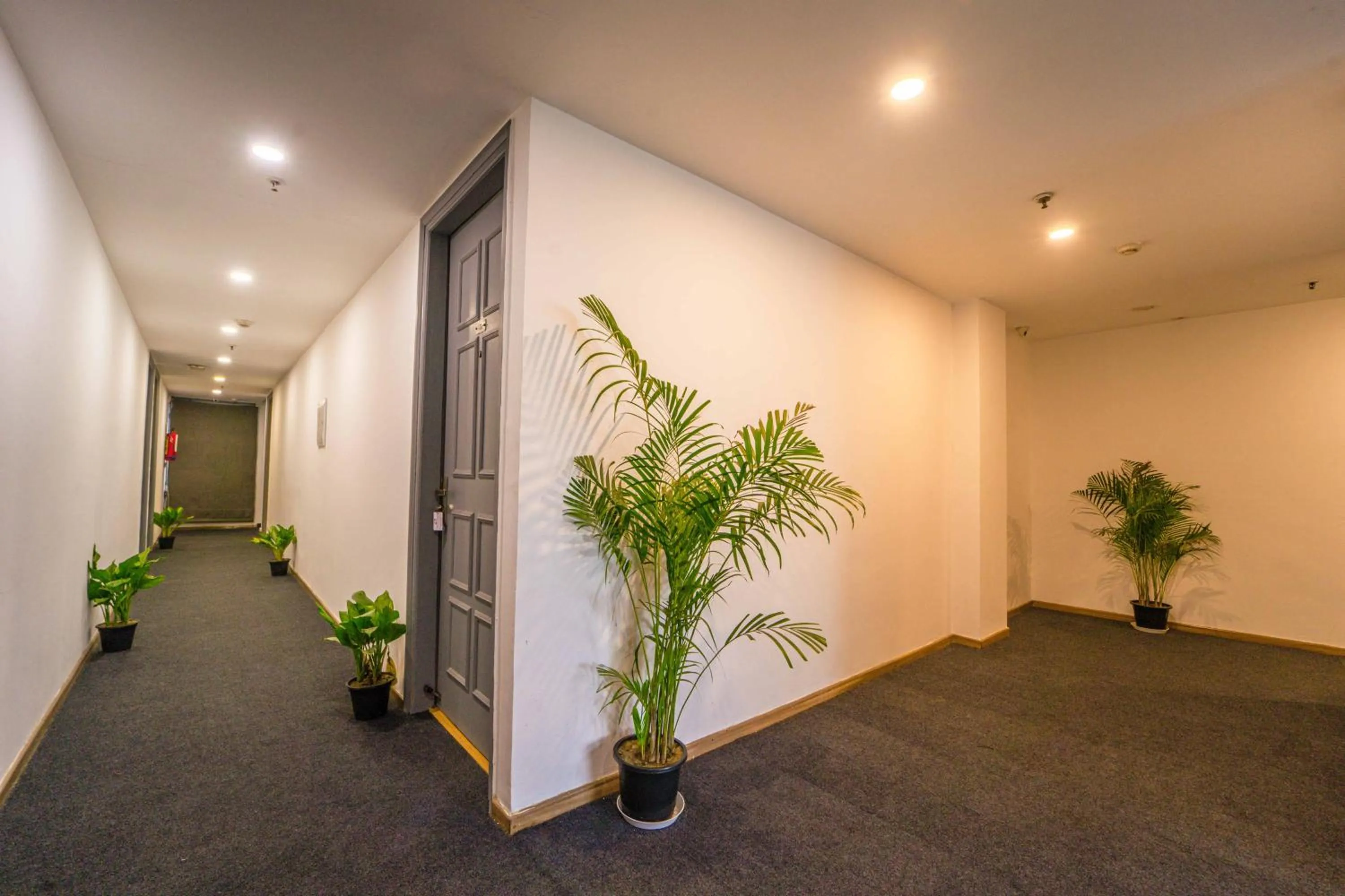 Lobby or reception in Treebo Premium Inn