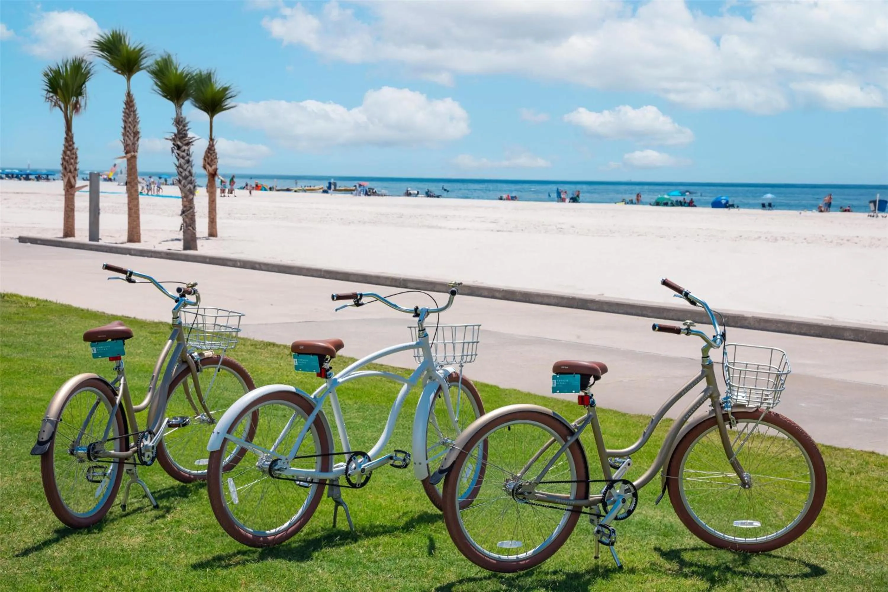 Sports in Embassy Suites By Hilton Gulf Shores Beach Resort