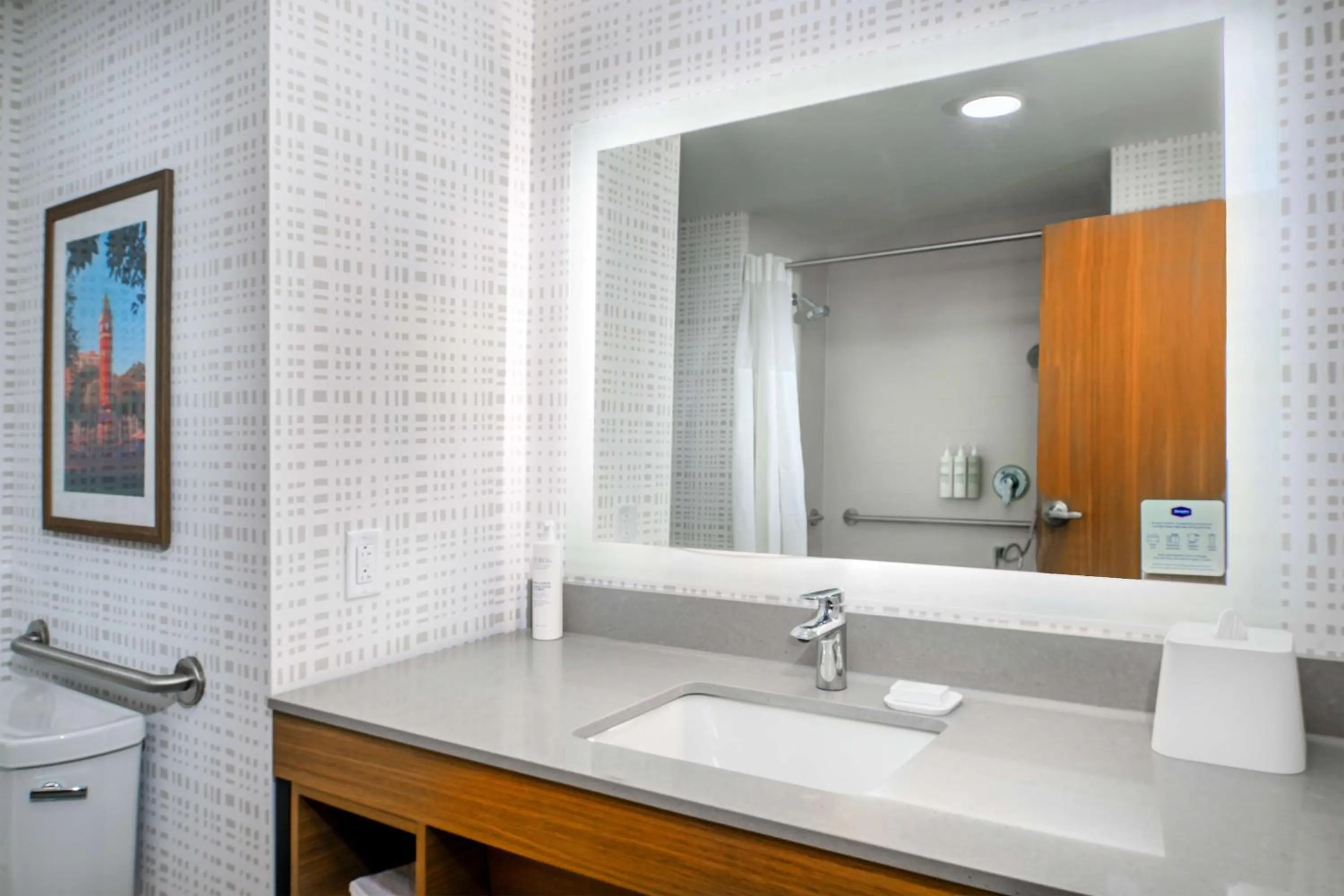 Bathroom in Hampton Inn By Hilton St Louis Airport