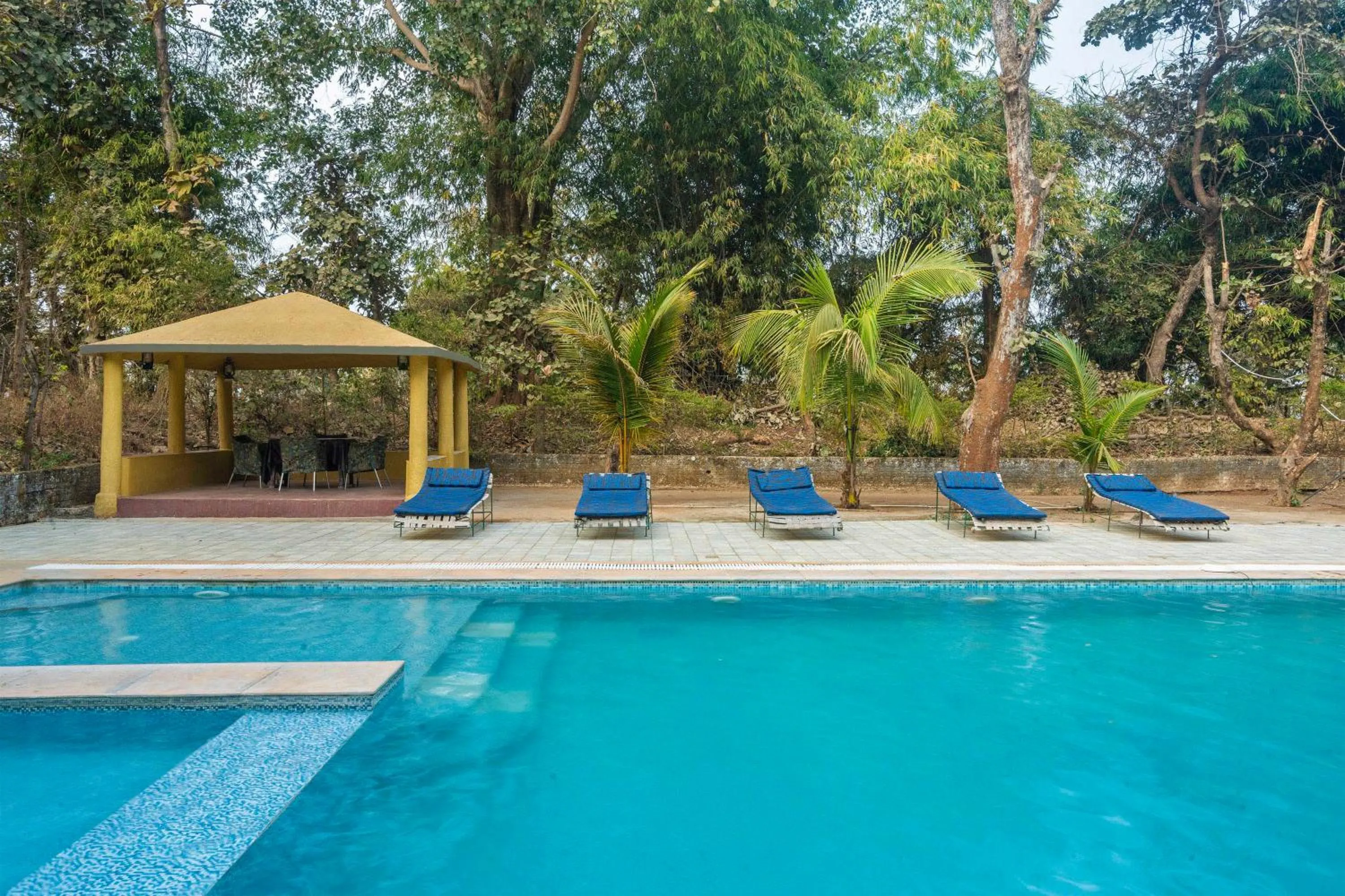 Swimming pool in Treebo Premium Mowgli's Den Pench with Swimming Pool