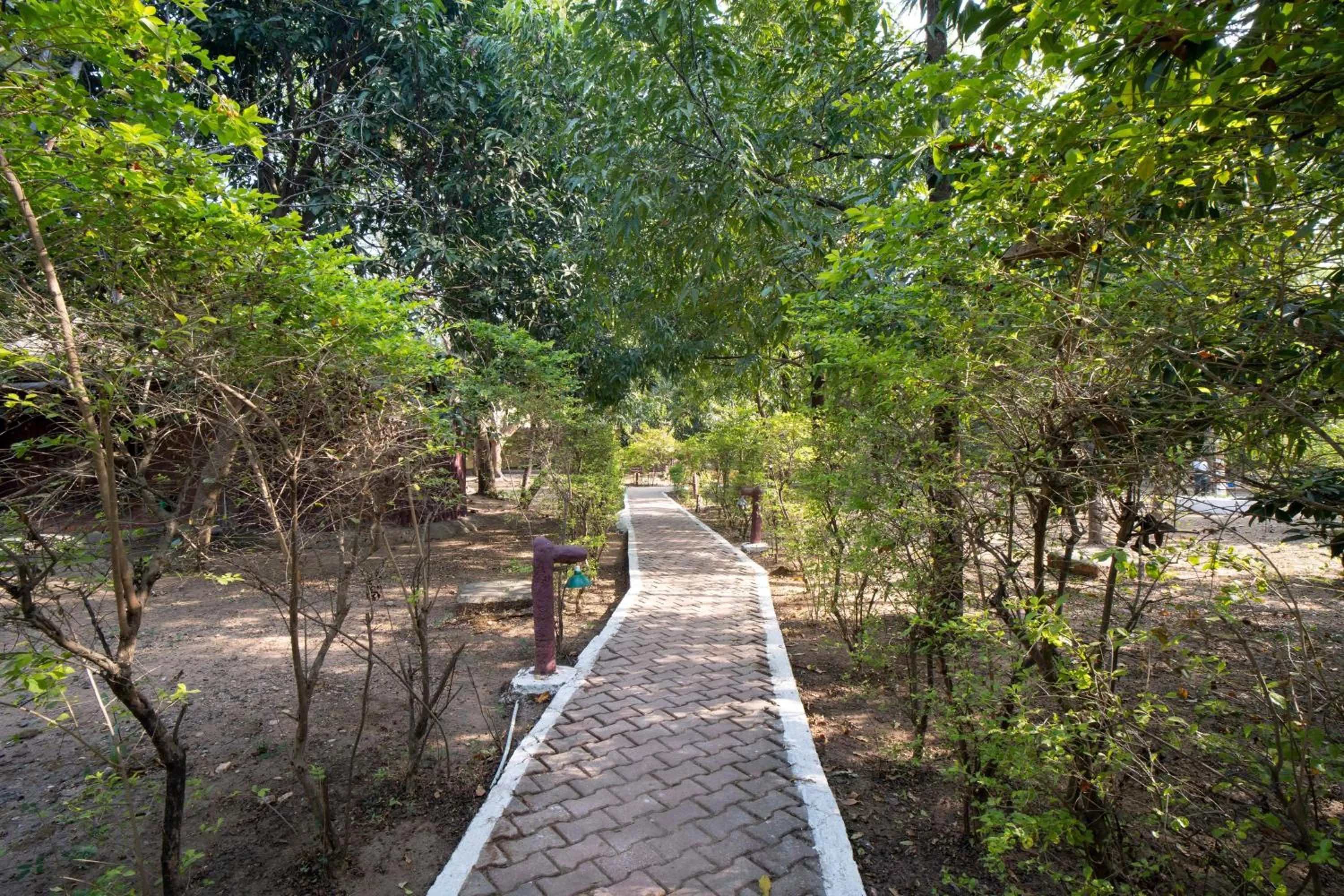Garden view in Treebo Premium Mowgli's Den, Pench