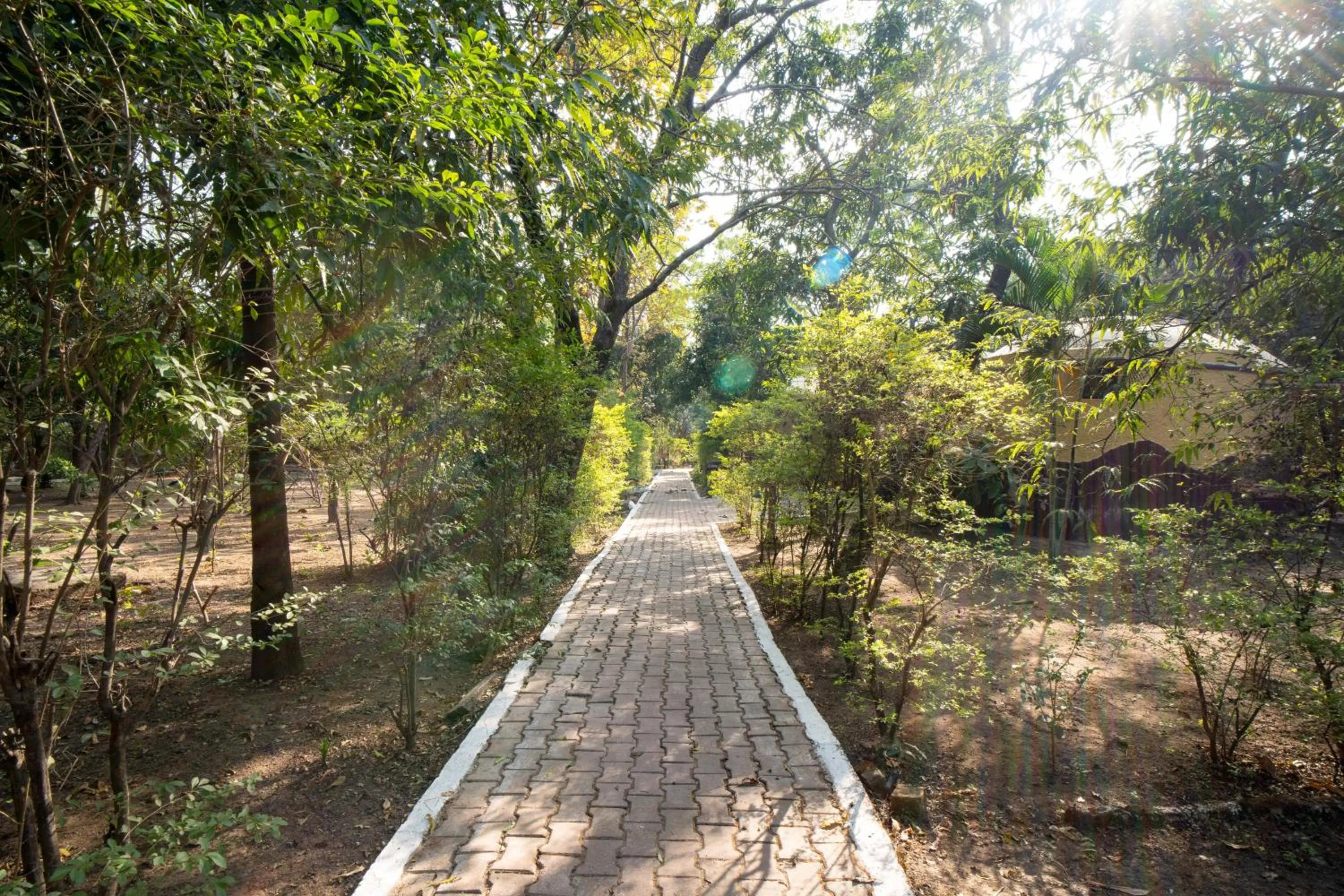 Garden in Treebo Premium Mowgli's Den, Pench
