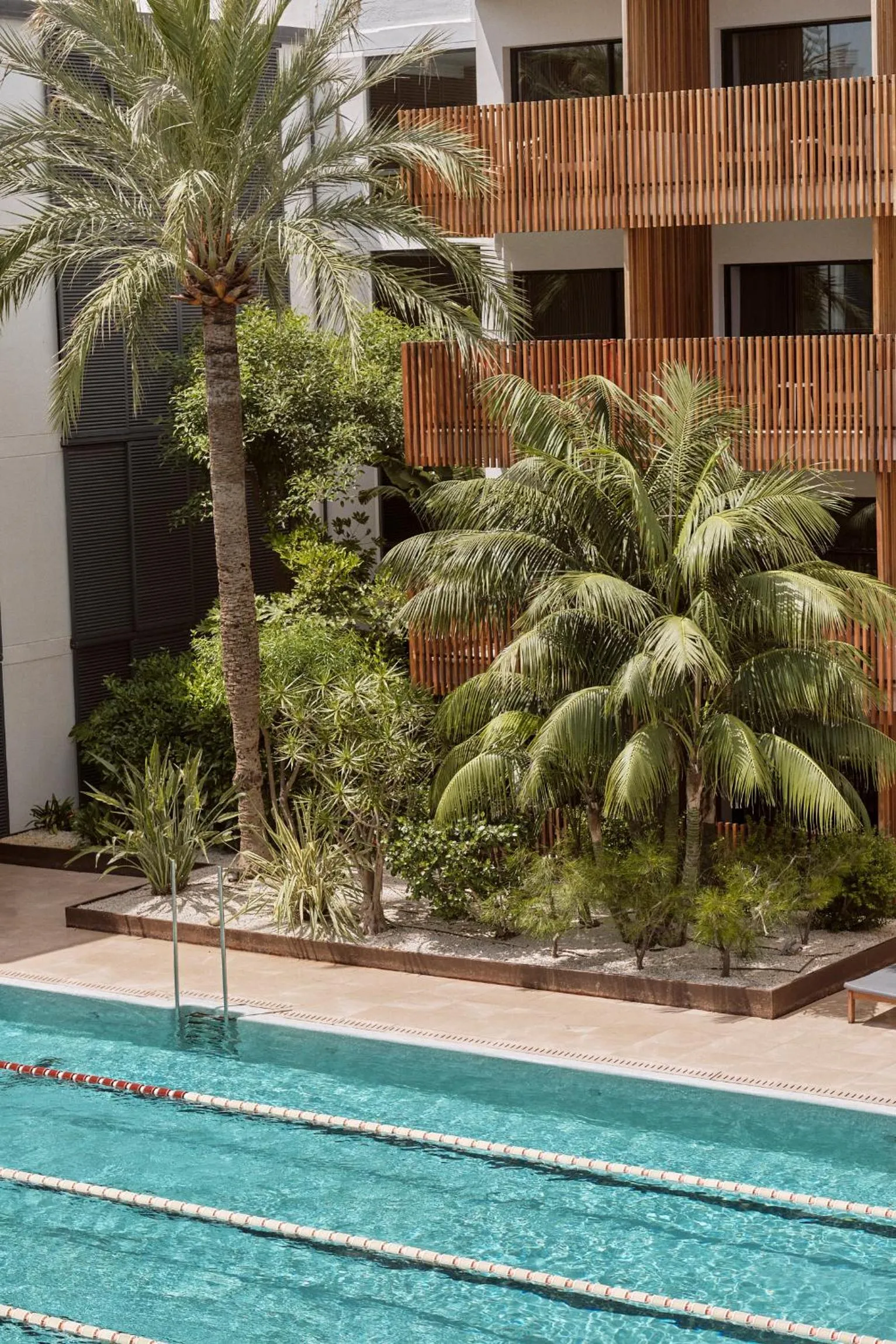 Swimming pool in Las Gaviotas Suites Hotel & Spa