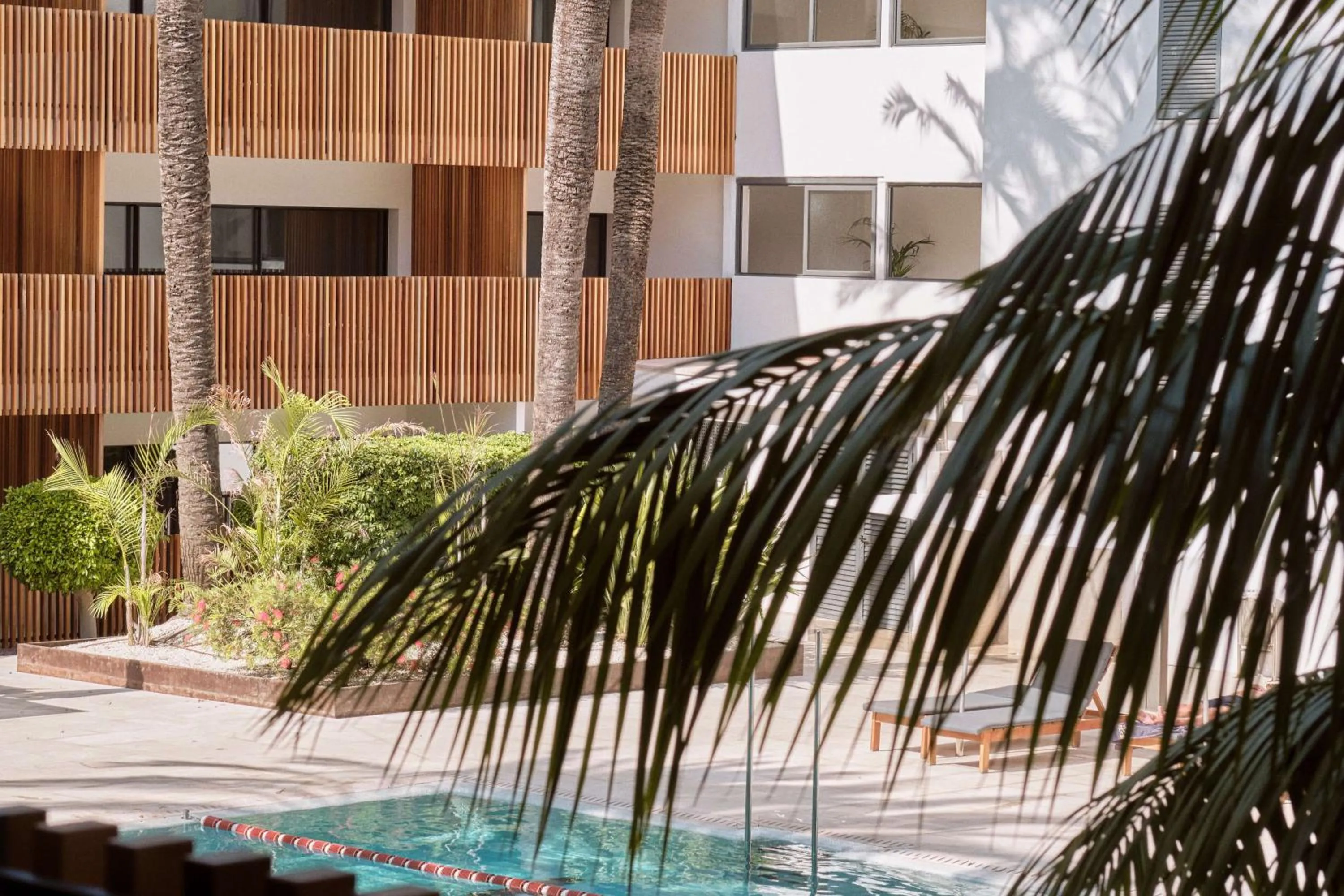 Pool view in Las Gaviotas Suites Hotel & Spa