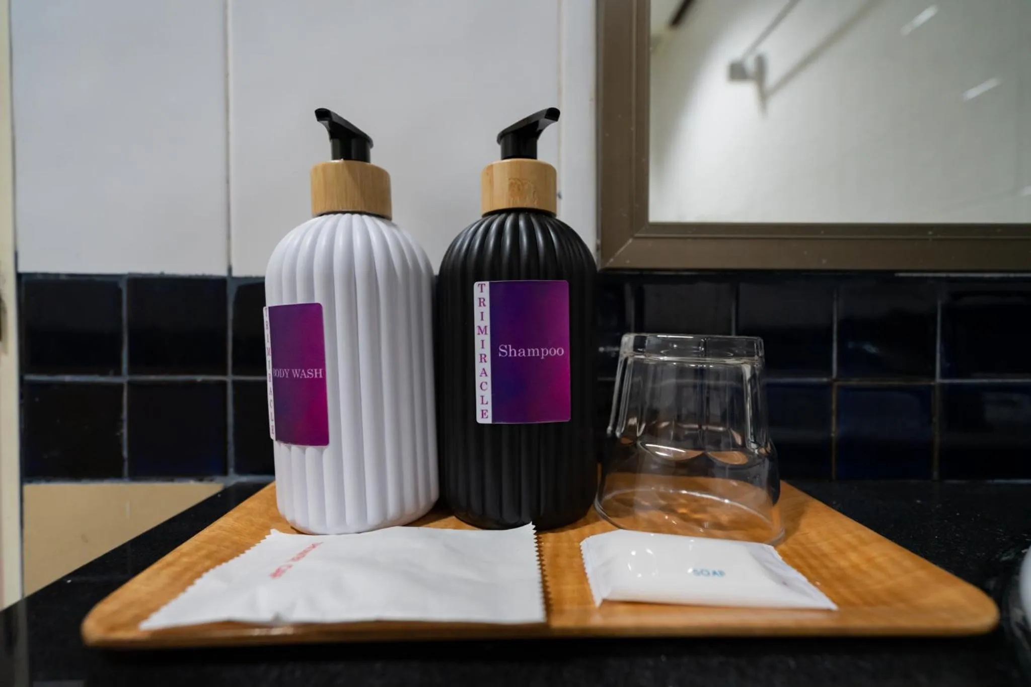 Toilet in Tri's Miracle Apartment Kata