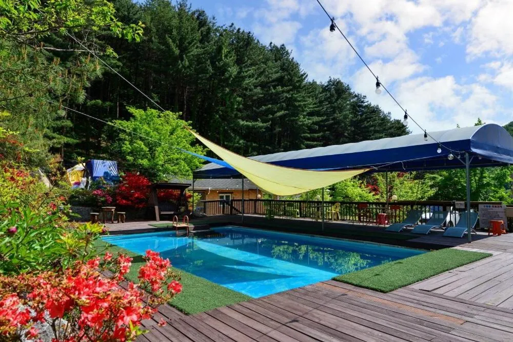 Thank you dog pet pension