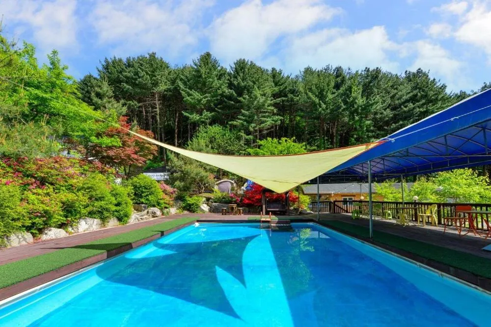 Thank you dog pet pension