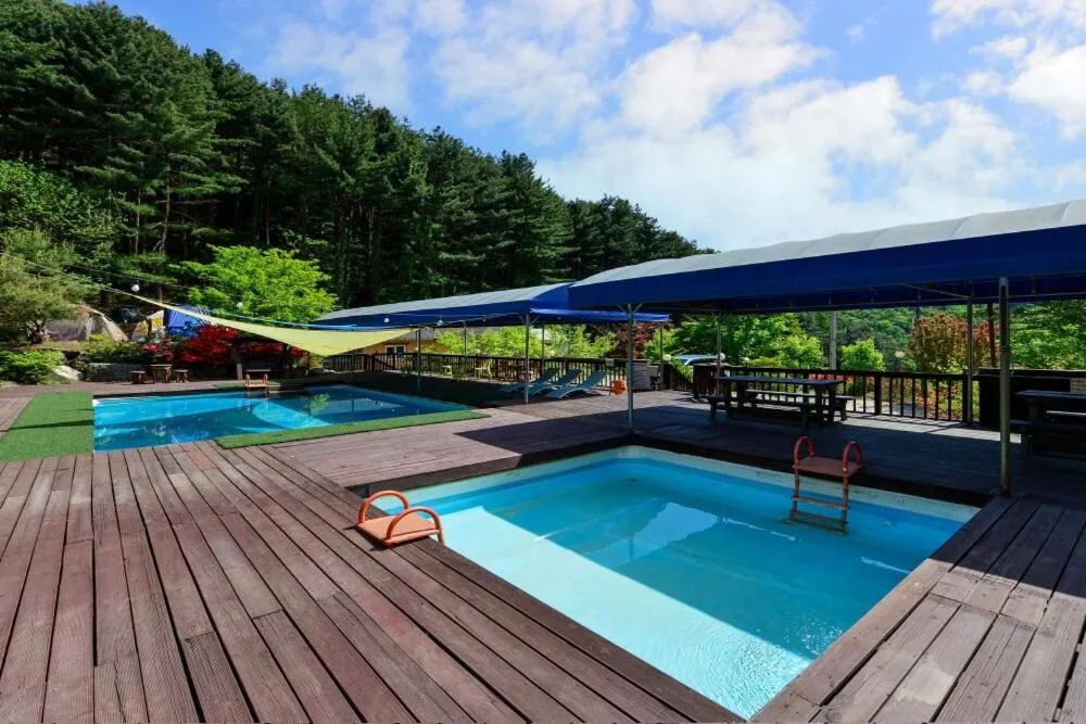 Thank you dog pet pension