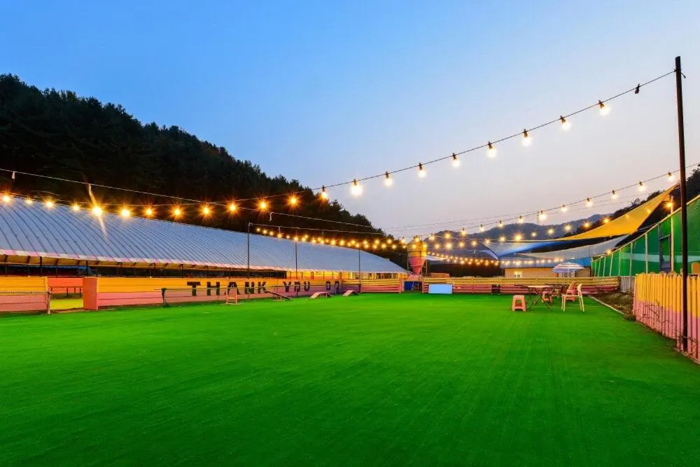 Thank you dog pet pension