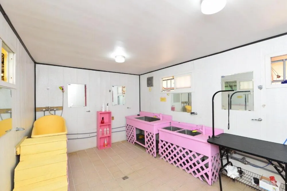 Thank you dog pet pension