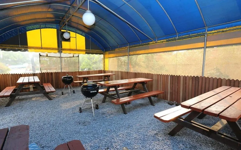 Silver Glowing Sea Pension