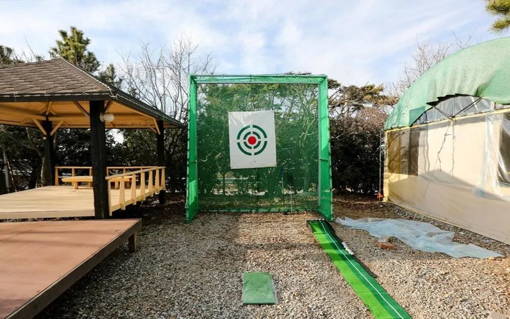 Silver Glowing Sea Pension