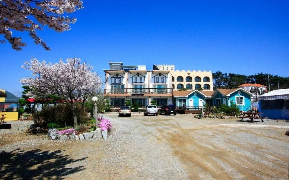 Silver Glowing Sea Pension