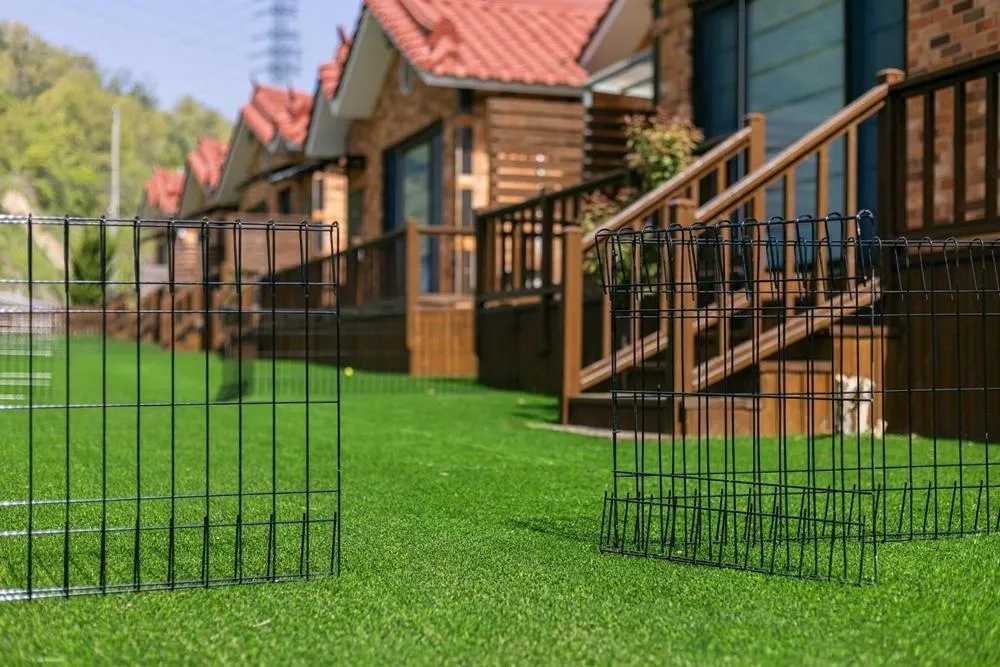 Gyeongju Helper pet Pension