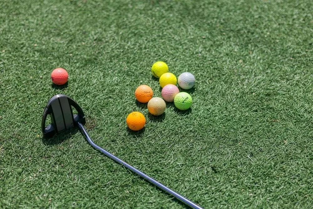 Gyeongju Helper pet Pension