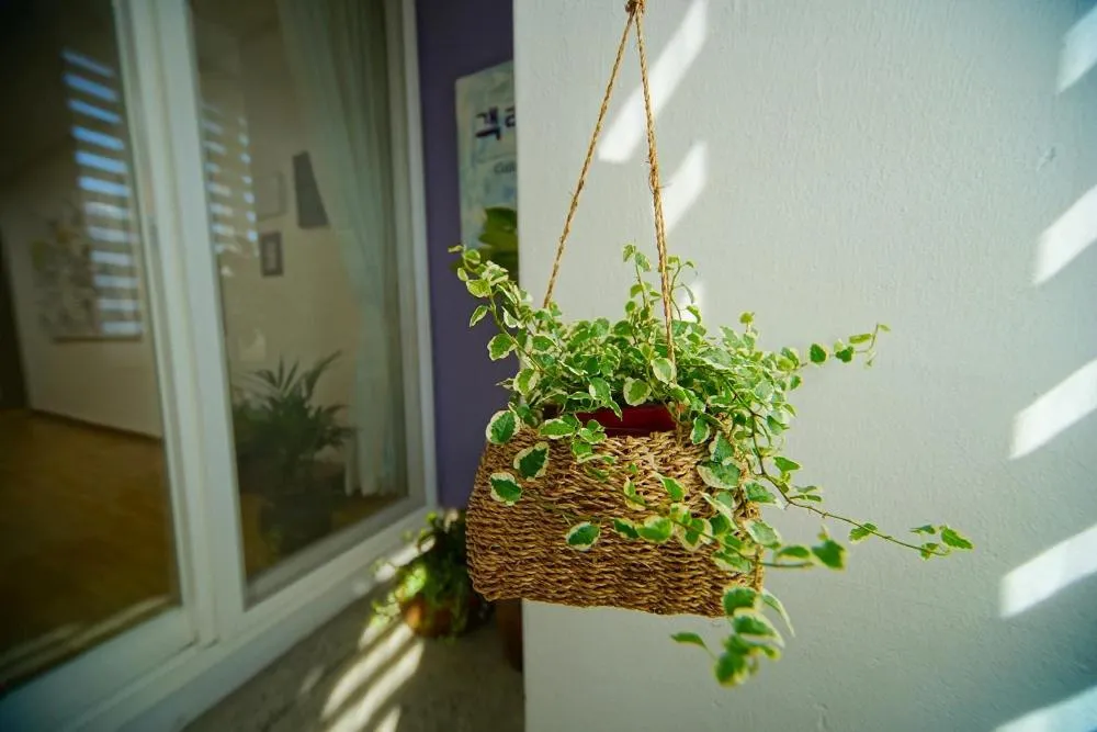 Jeonju Hanok Maeul Gaekridangil Guest House