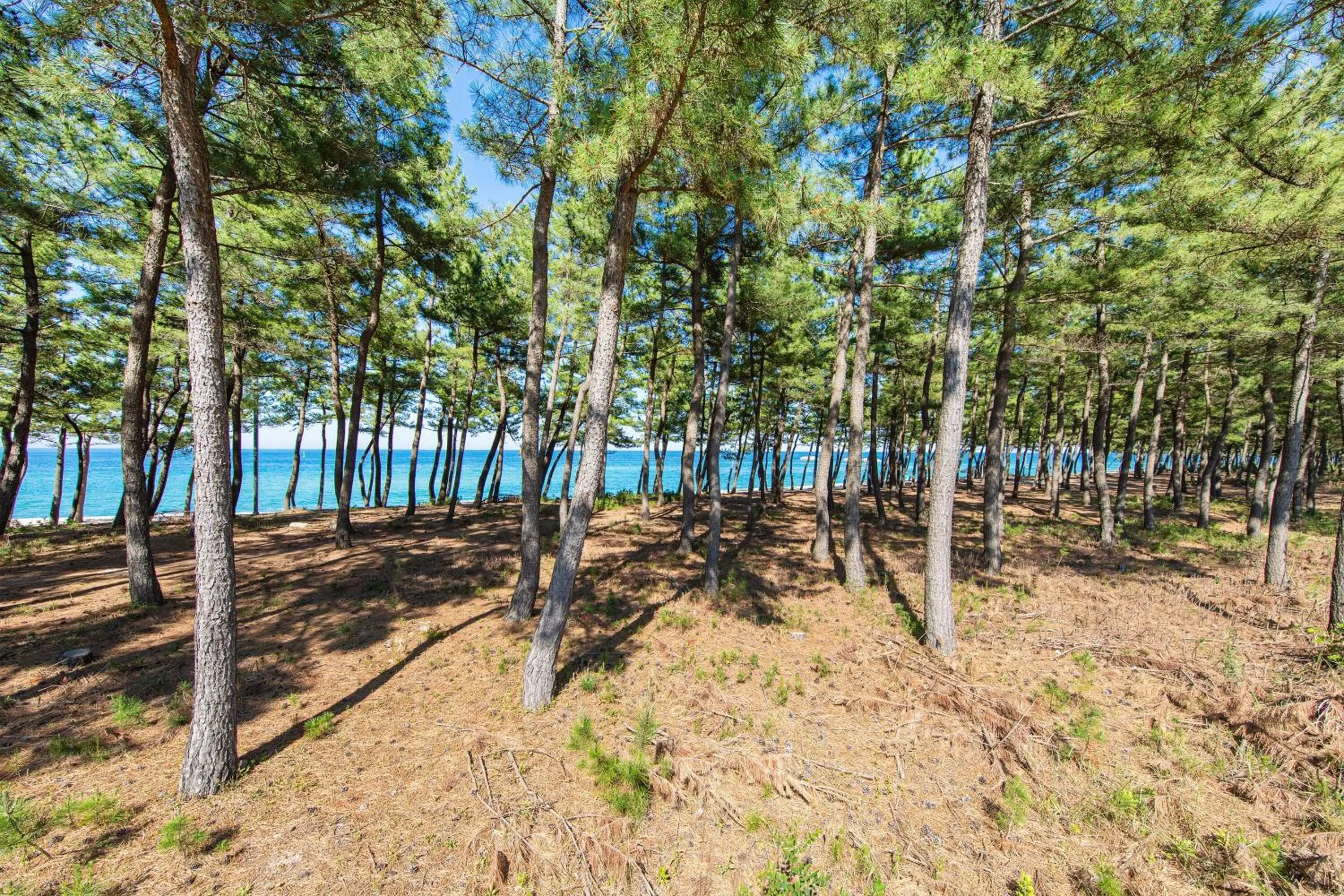 Kangneung Oranda Pension