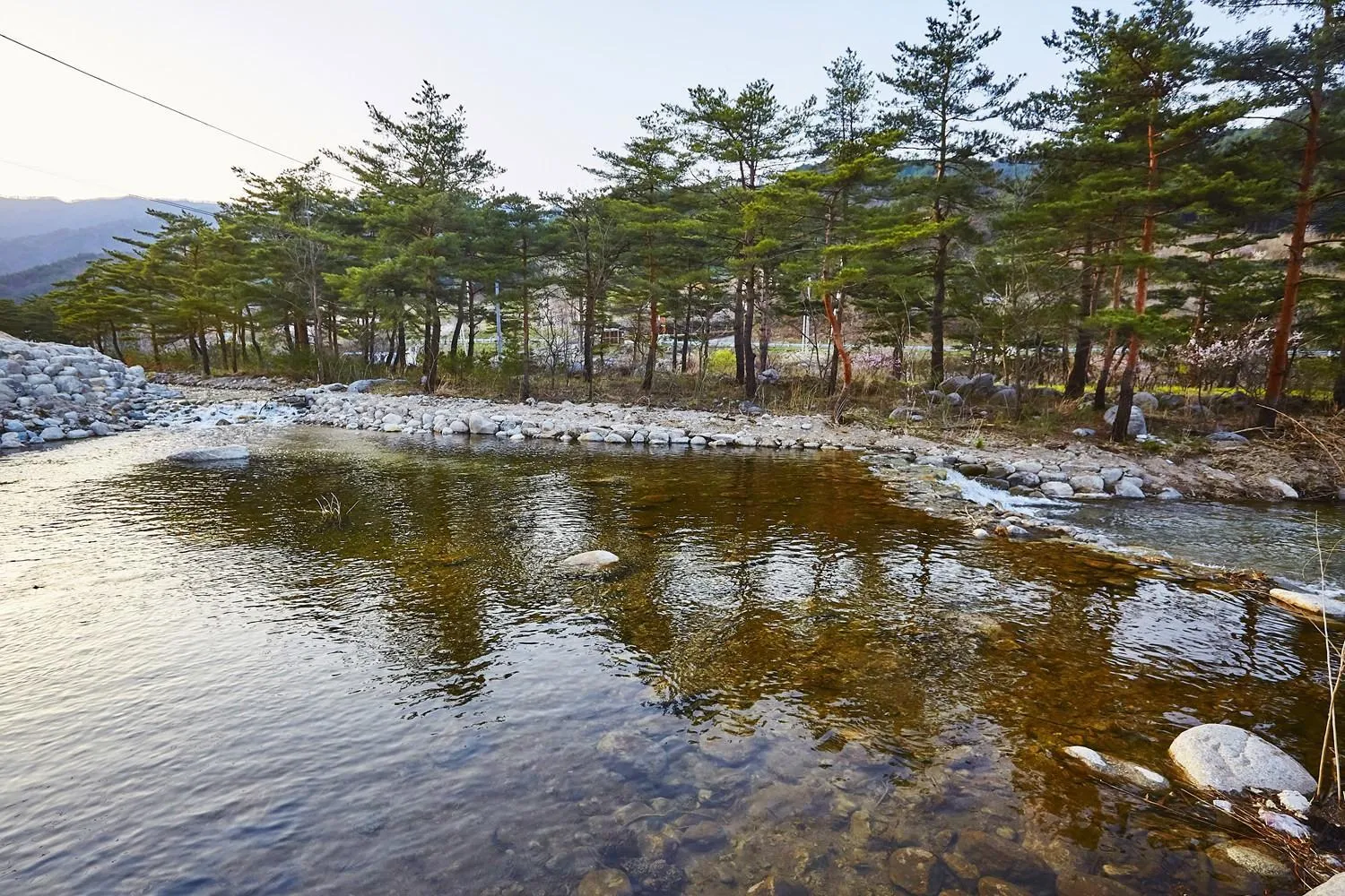 Gangreung refresh odaesanjeom