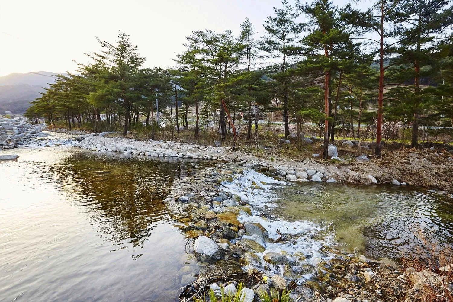 Gangreung refresh odaesanjeom