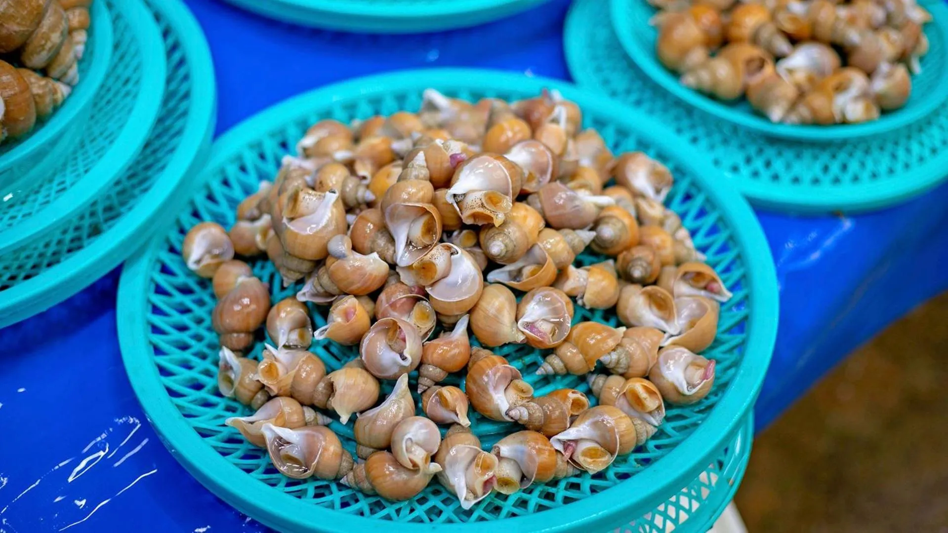Gangneung Jumunjin Lighthouse Pension