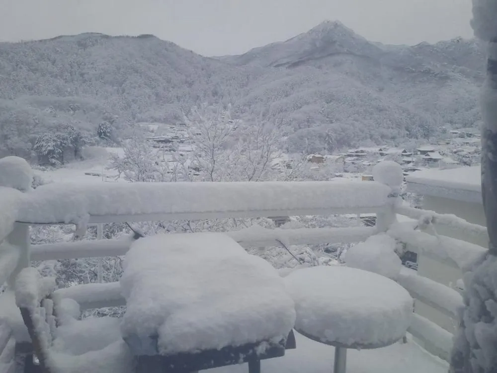 Yangpyeong Forest Live Pension