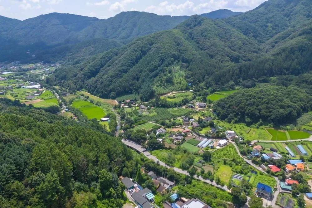 Yangpyeong Forest Live Pension