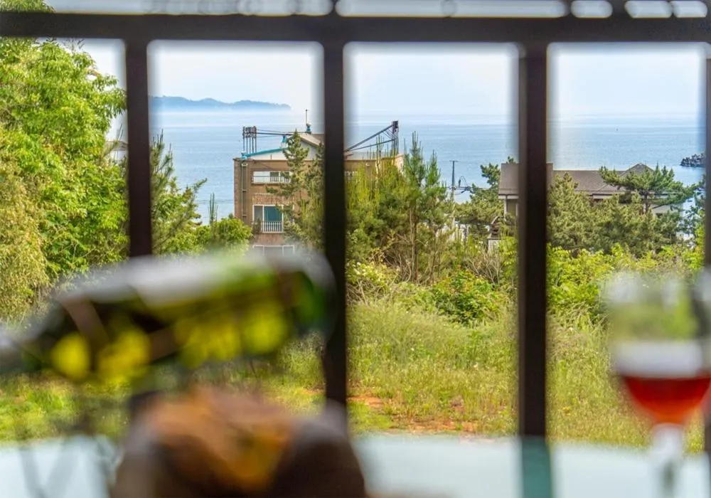 Taean Gana Pension Pet friendly