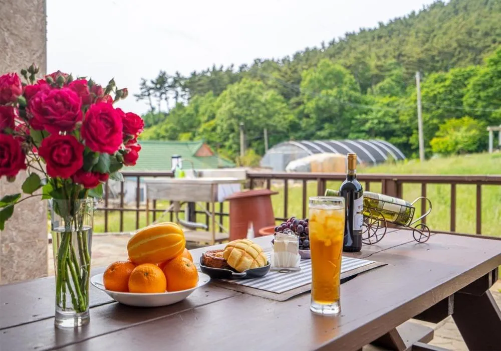 Taean Gana Pension Pet friendly