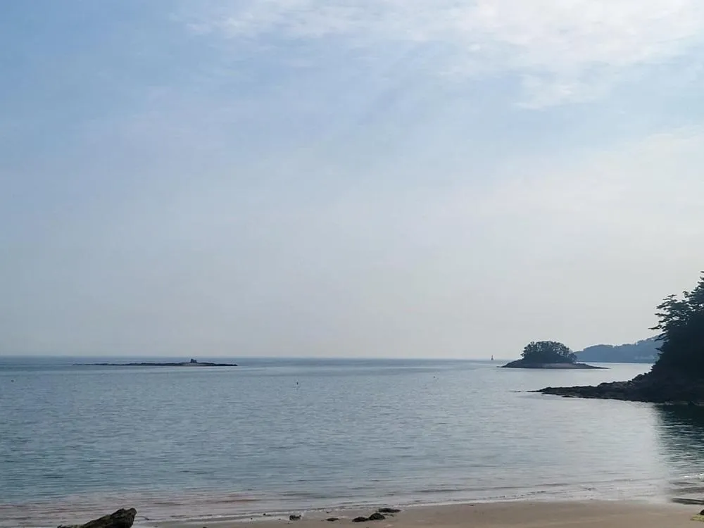 Taean Gana Pension Pet friendly