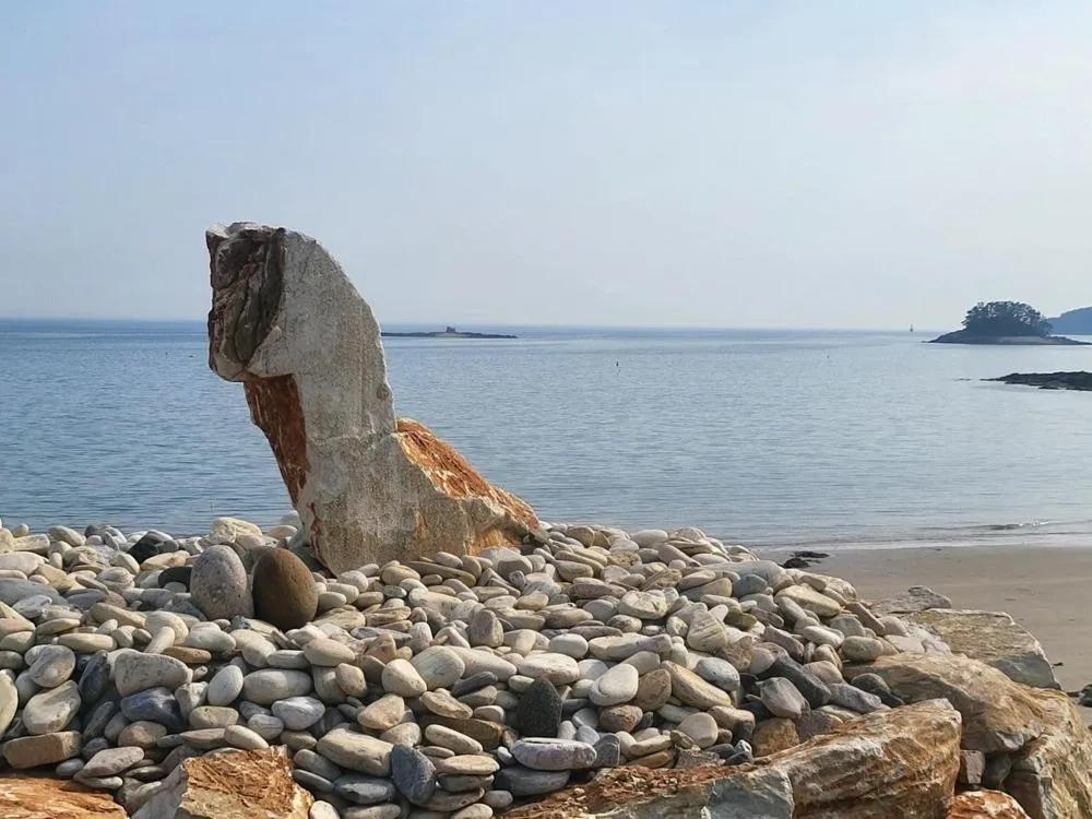 Taean Gana Pension Pet friendly