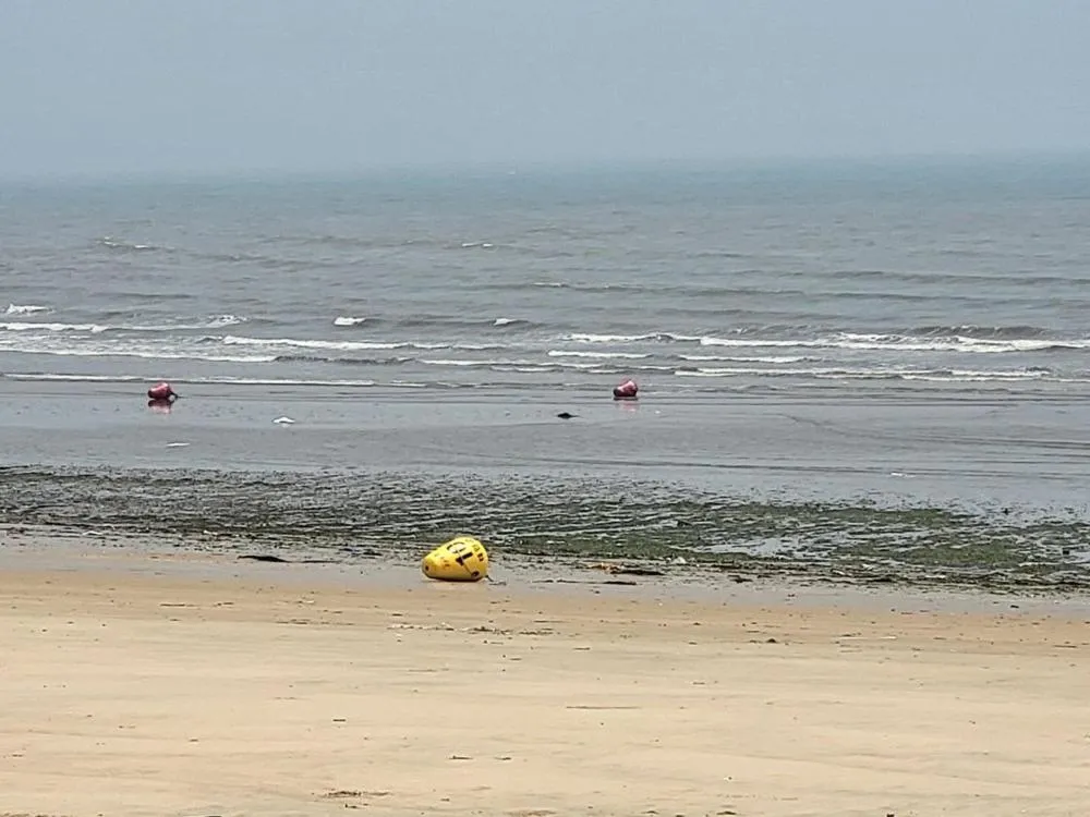 Taean Gana Pension Pet friendly