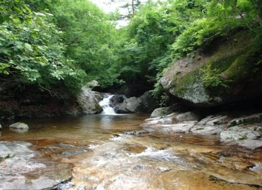 Seonbichon Lake Pension