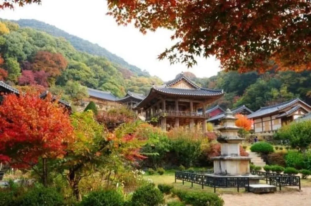 Seonbichon Lake Pension