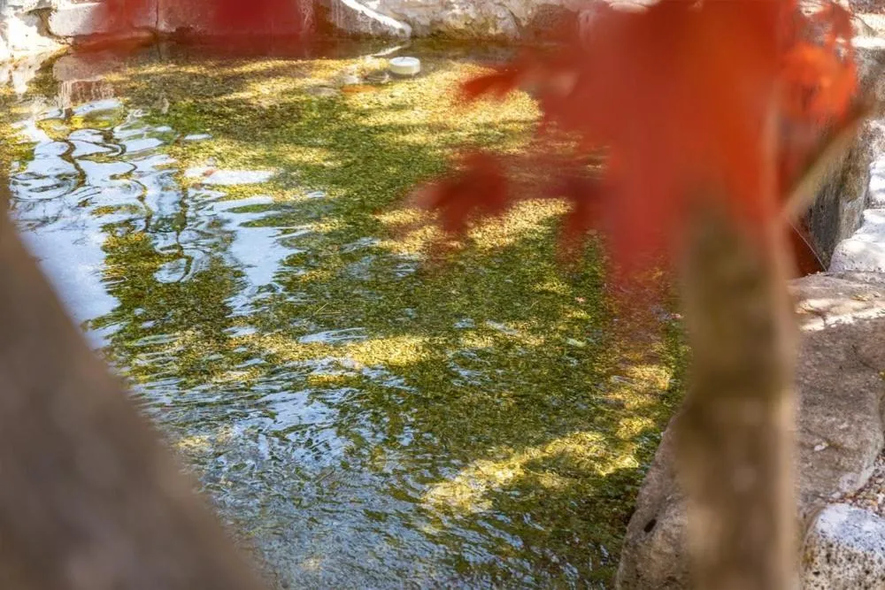 Inje Naerincheon Glamping