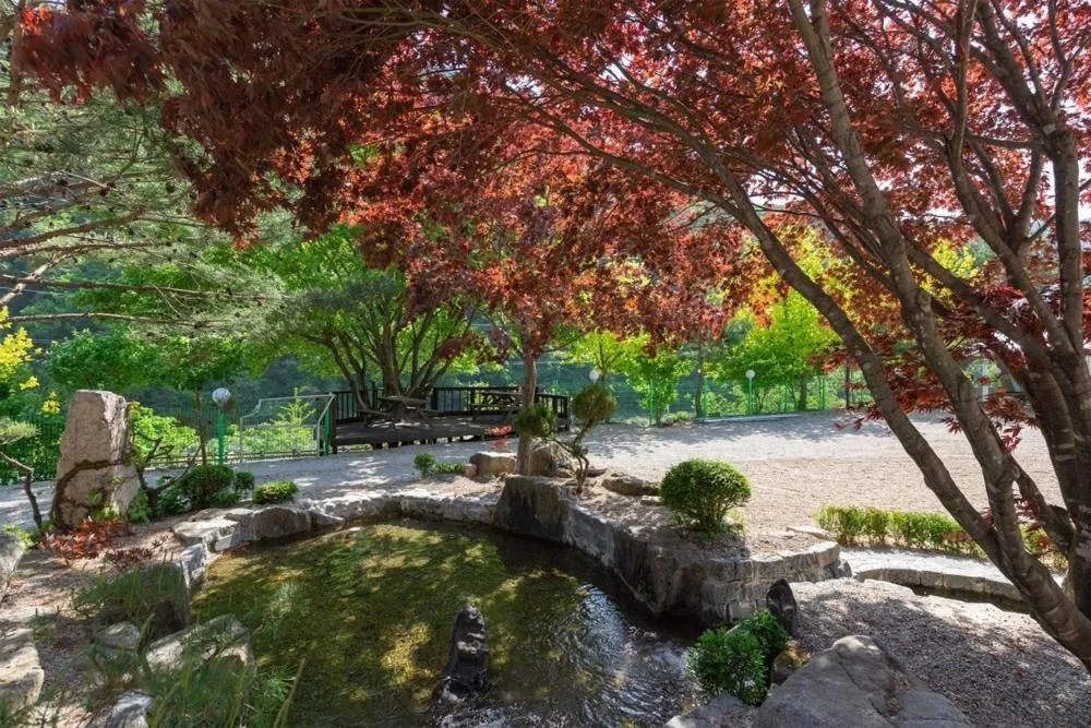 Inje Naerincheon Glamping