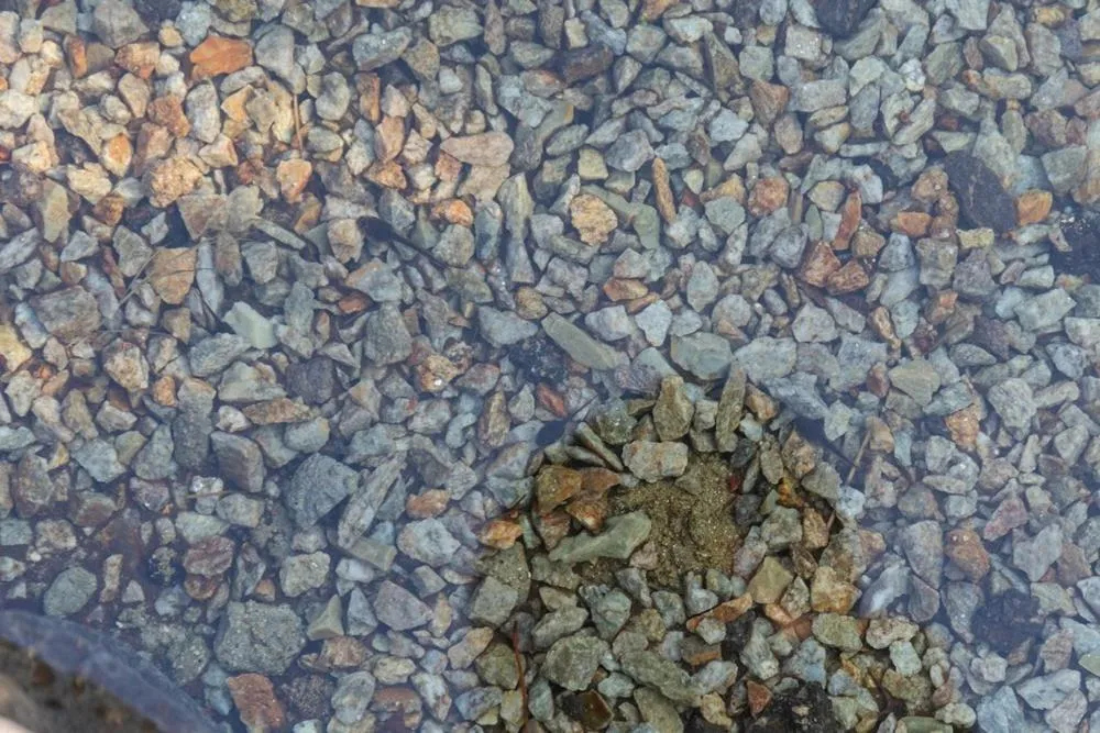 Inje Naerincheon Glamping