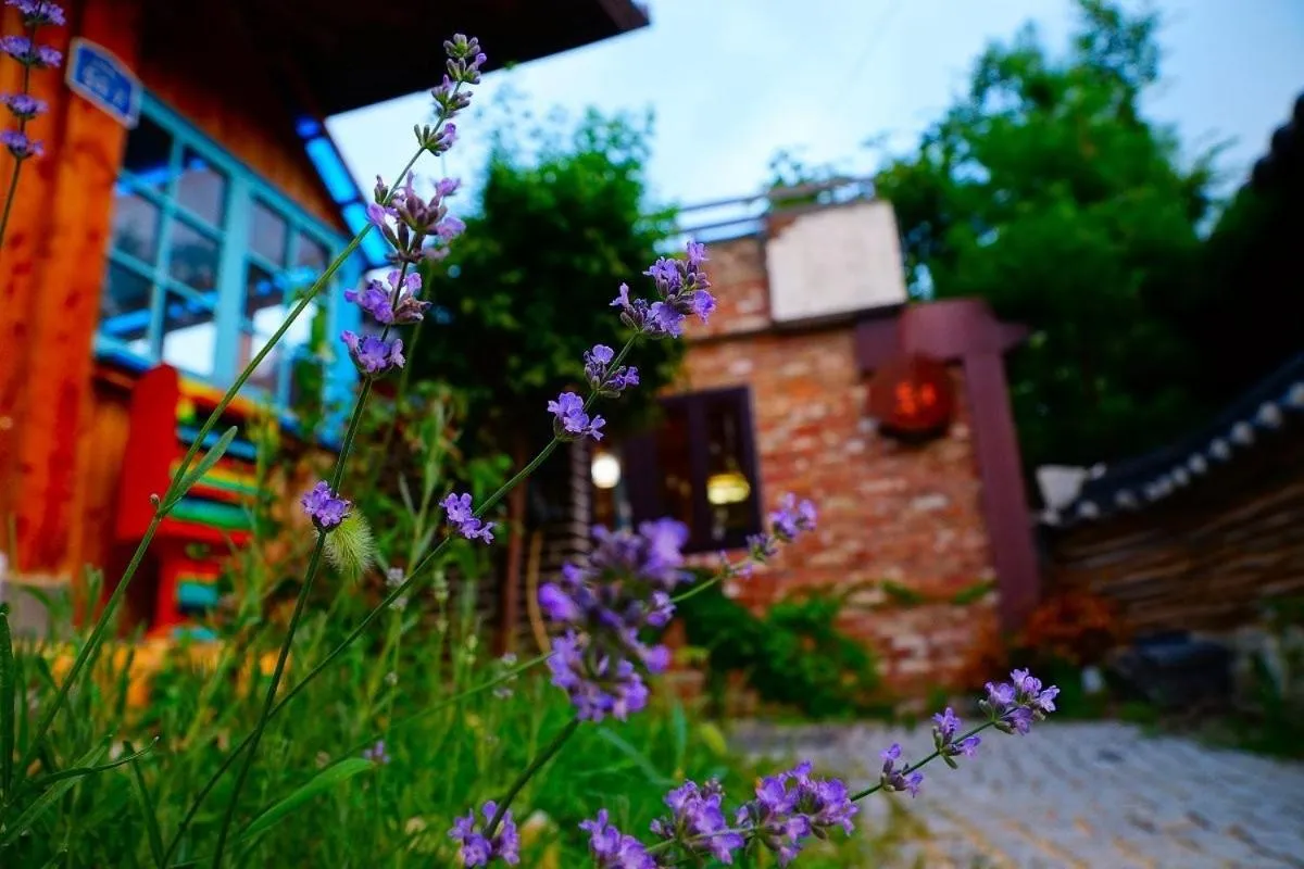 Jeonju Hongsi Hanok Guesthouse