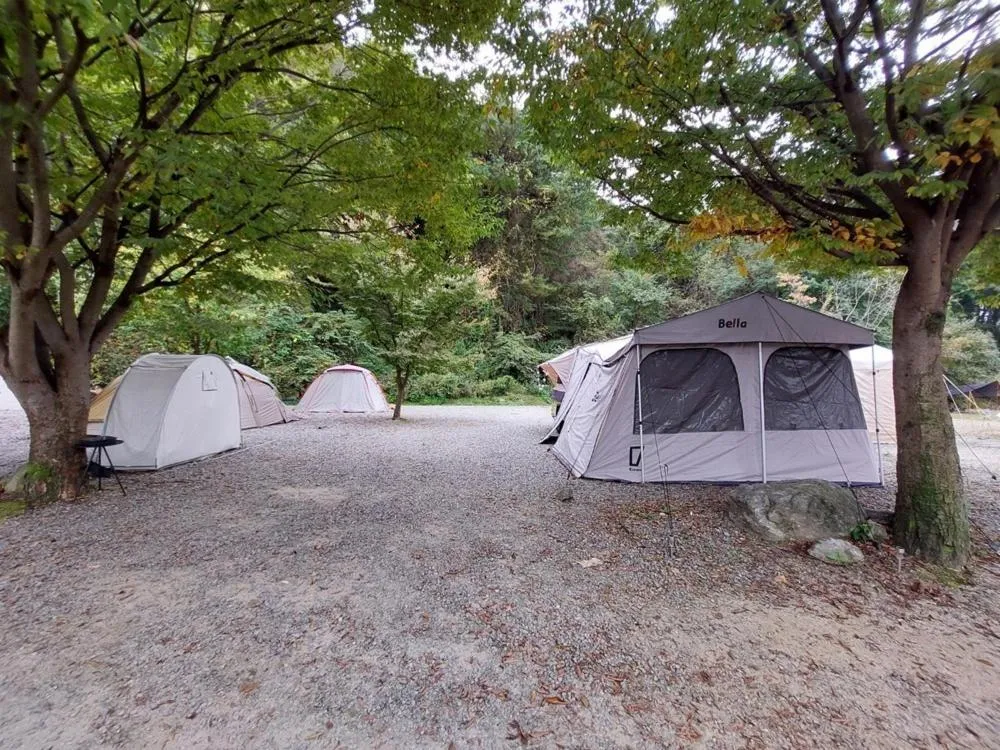 Gapyeong Jandigujang Pension