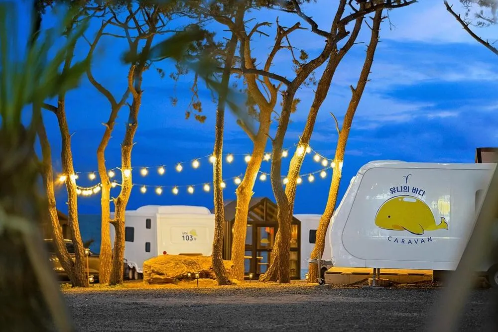 Pohang Uni’s Sea Caravan Homigot Branch