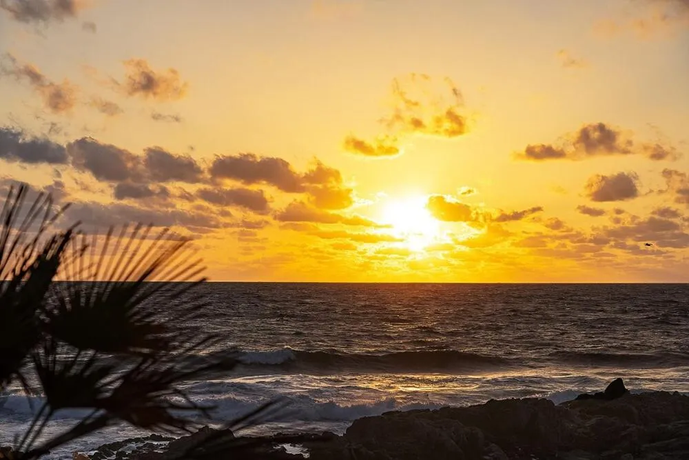 Pohang Uni’s Sea Caravan Homigot Branch