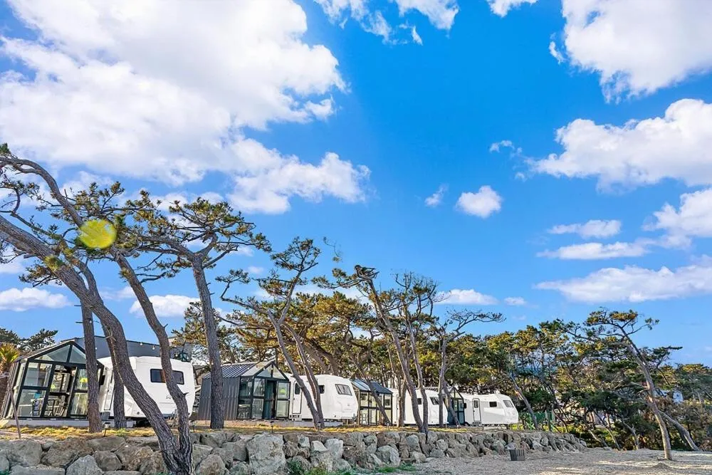 Pohang Uni’s Sea Caravan Homigot Branch