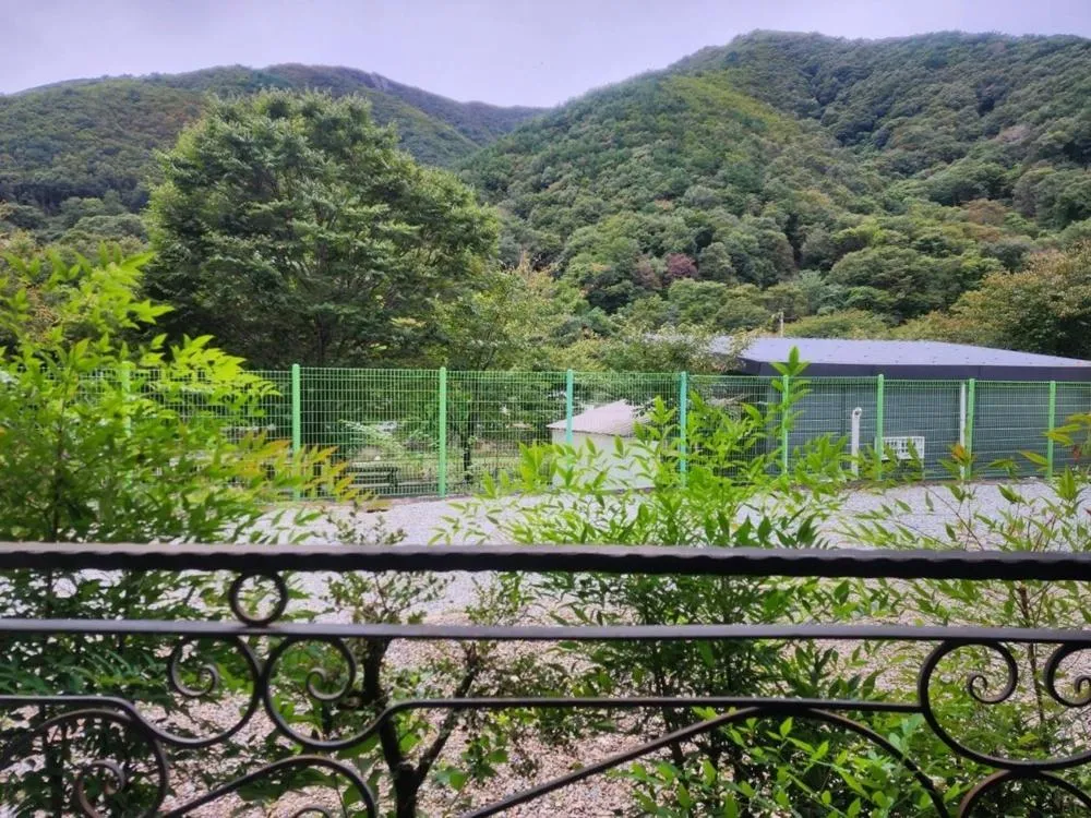 Baenaegol New Island Pension