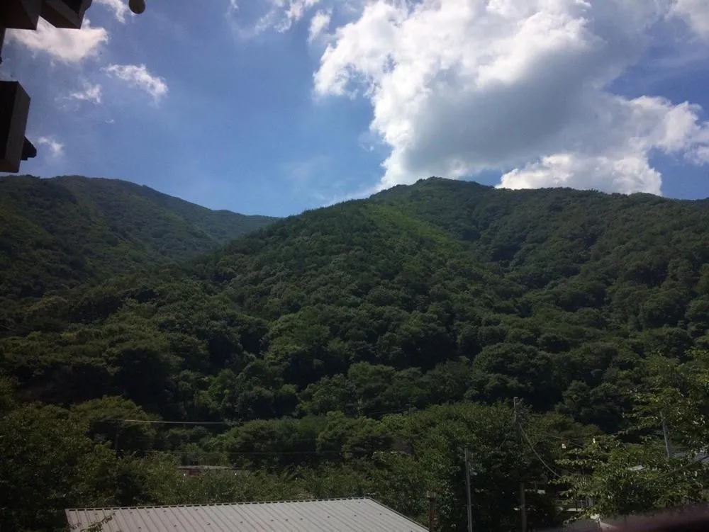 Baenaegol New Island Pension