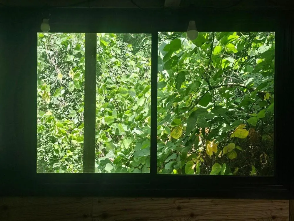 Baenaegol New Island Pension