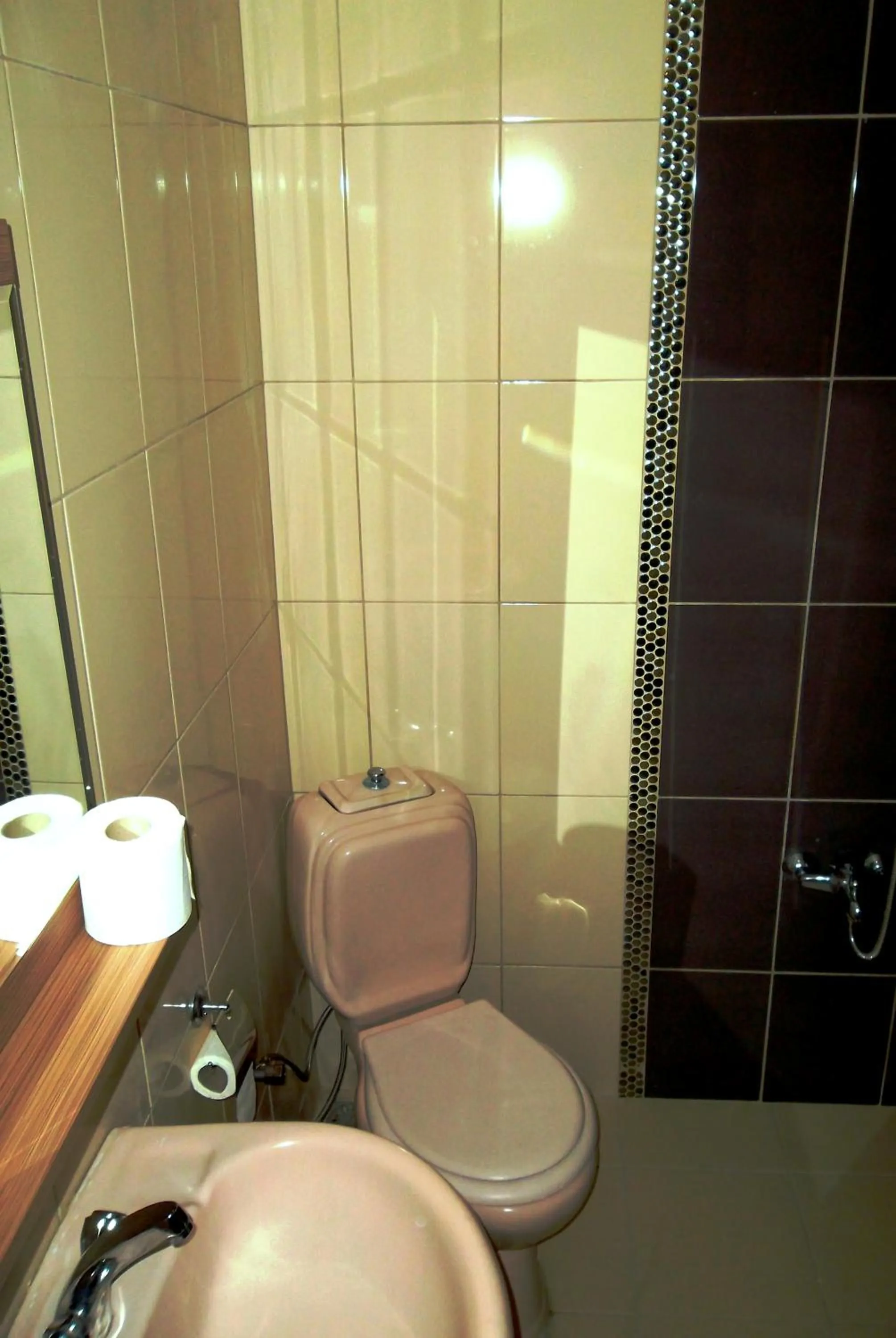 Bathroom in Ece Hotel Eceabat