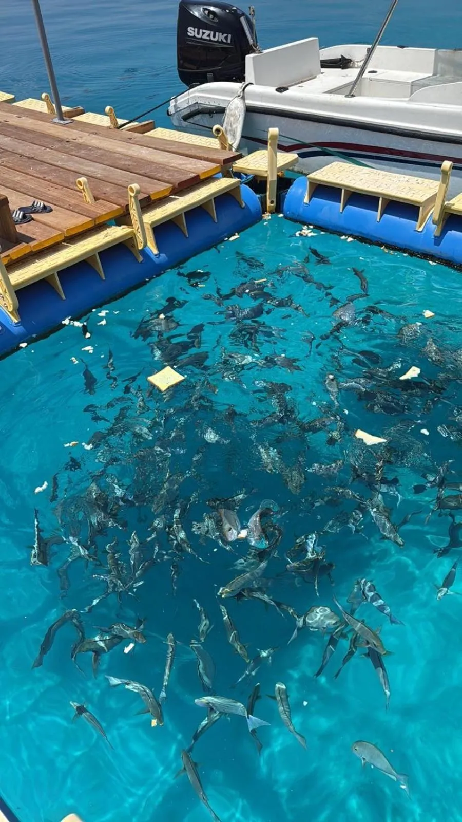 Day in Skyinn omadhoo