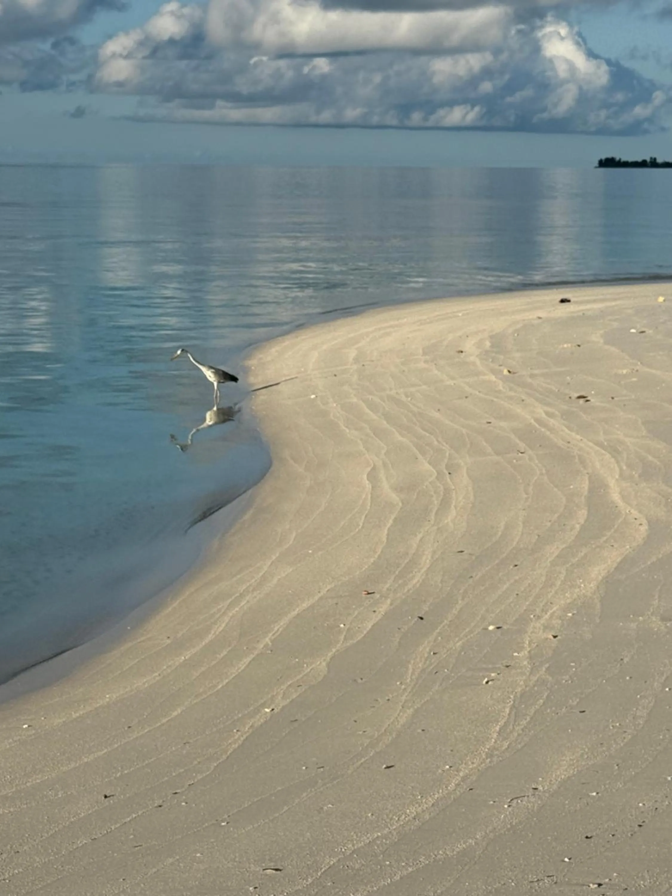 Beach in Skyinn omadhoo