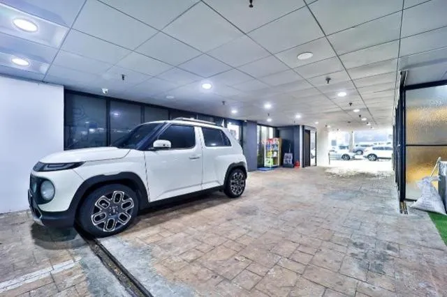 Suwon Brown Dot Suwon Ingyegyo